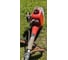 Бензиновый триммер Efco Stark 25 7