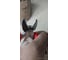Бокорезы KNIPEX KN-7305160 4