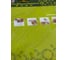 Виниловый трафарет STMDECOR РЫБА HWC-T2-010 3