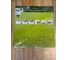 Виниловый трафарет STMDECOR РЫБА HWC-T2-010 2
