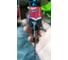 Бур SDS+ 4х110 мм Milwaukee 4932339498 5