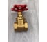 Клиновая задвижка Giacomini латунь R55 Ду 20 Ру16 ВР маховик R55Y004 007-1516 6