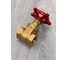 Клиновая задвижка Giacomini латунь R55 Ду 20 Ру16 ВР маховик R55Y004 007-1516 7