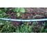 Шланг Classic 3/4", 20м Gardena 18022-20.000.00 10