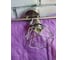 Спот Rivoli 7004703 Distratto W3 SN 3хE14 40W Б0038108 9