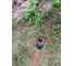 Коннектор с автостопом 1/2" Gardena 18213-29.000.00 7