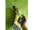 Перфоратор Ryobi ONE+ R18SDS-0 5133002305 54