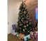 Ель Royal Christmas ARKANSAS PREMIUM HINGED 240 см 291240 12