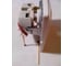 Розетка Smartbuy 1-местная с заземлением 16А белая, керамика Венера SBE-01w-16-S1-Z-c 12