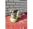 Эксцентриковая шлифмашина Ryobi ONE+ R18ROS-0 5133002471 47