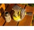 Эксцентриковая шлифмашина Ryobi ONE+ R18ROS-0 5133002471 65