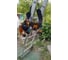 Пояс строителя для инструмента DEWALT DWST1-75552 64