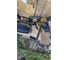 Пояс строителя для инструмента DEWALT DWST1-75552 65