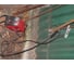 Сварочный инвертор ММА Elitech АИС 160Н 4