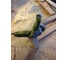 Угловая шлифмашина Ryobi EAG950RB 5133000548 10