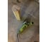 Угловая шлифмашина Ryobi EAG950RB 5133000548 12