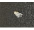 Коннектор rj-45 (8p8c) Ripo cat.6 (по 20 шт.) 003-400006/20 3
