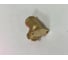 Угольник латунный AV Engineering 1/2" с внутренней резьбой с креплением AVE307008 ЦЗ-3102628860 4