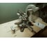 Торцовочная пила Metabo KGS 305 M 619305000 12