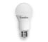 Светодиодная лампа Sweko 5 шт 42LED-A60-15W-230-3000K-E27 2