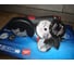 Аккумуляторная угловая шлифмашина Bosch GWS 12V-76 Professional Solo 0.601.9F2.000 30
