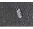 Галогеновая лампа Микромед 12V/50W G6 21731 3