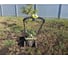 Газонокосилка Ryobi RLM13E33S 5133002343 79
