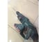 Аккумуляторный перфоратор Metabo KHA 18 LTX 600210890 8