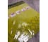 Виниловый трафарет STMDECOR УЛИТКА HWC-T2-012 6