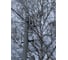 Уличный светильник Ultraflash thl-1008 80вт, ксс:ш 14964 10