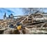 Цепная пила DEWALT FLEXVOLT DCM575X1 12