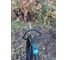 Электрокоса Makita UR2300 6