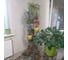 Подставка под цветы Sadagro Г-11 8807 2