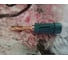 Держатель бит 79мм усилен Makita B-28531 19