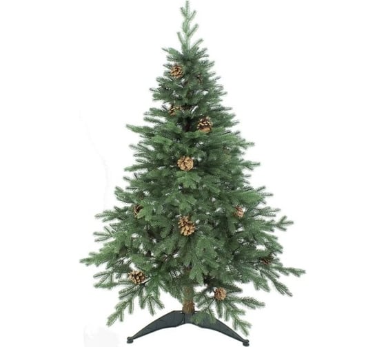 Изображение товара Ель BEATREES Монтана зеленая с шишками 1.6 м 1035116