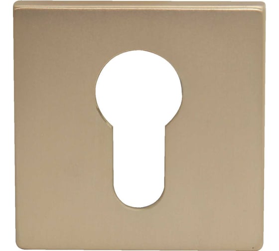 Изображение товара Накладки под цилиндр Вантаж сатин золото ET04SG SL