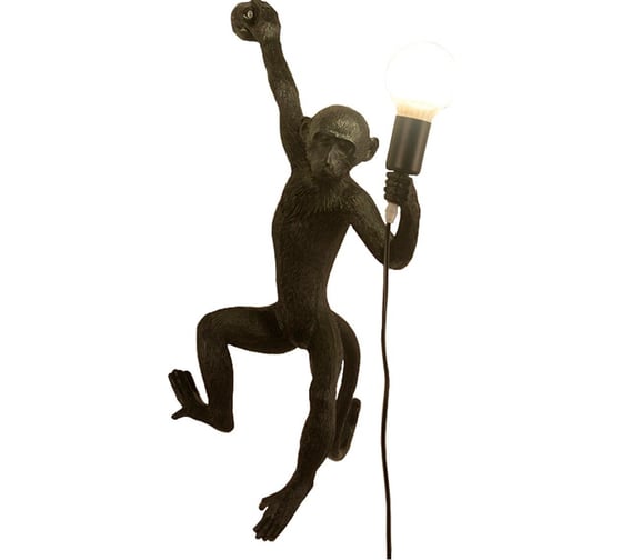 Изображение товара Настенный светильник Балтийский светлячок Monkey, черный, левая сторона LM-1003CHL