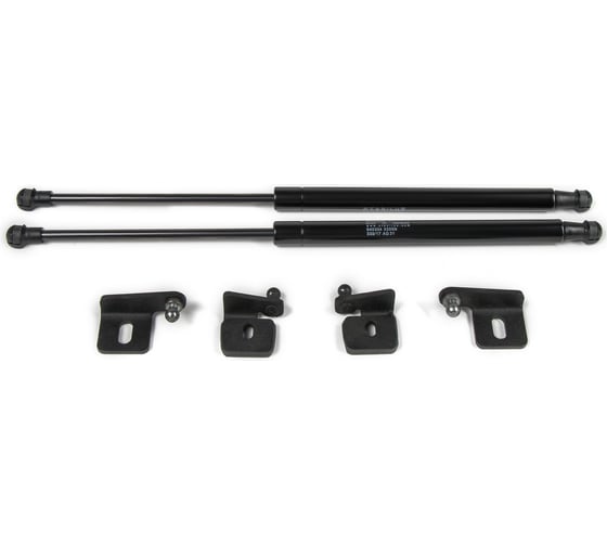 Изображение товара Газовые упоры капота АвтоУпор для Lada Priora 2007-2018, 2 шт., ULAPRI012