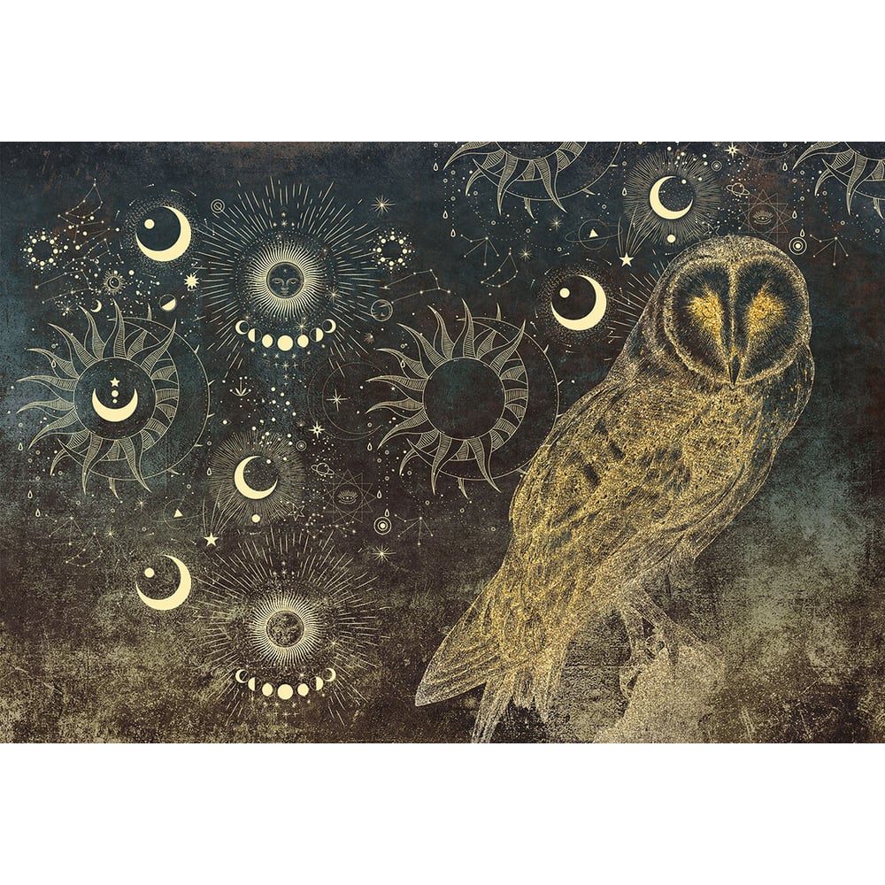 Изображение товара Фотообои ООО Ортограф 3.93x2.7 м OF_35089 с рисунком Птицы