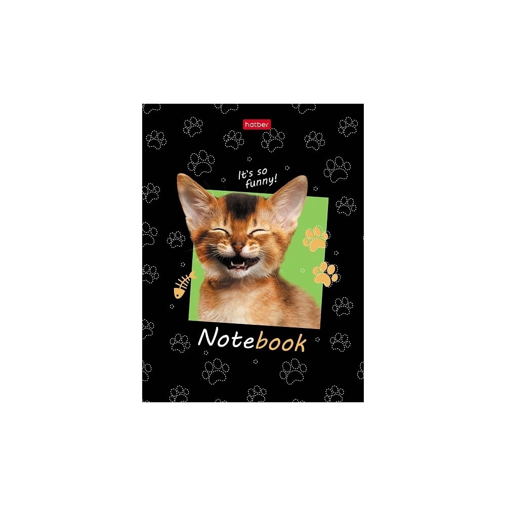 Изображение товара Бизнес-блокнот Hatber 80 листов А6 твердый переплет черный