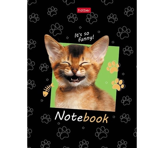 Изображение товара Бизнес-блокнот Hatber 80 л, А6, 112x151 мм, клетка, твердый переплет, глянцевая ламинация, котэлло, 36 шт в упаковке 075751