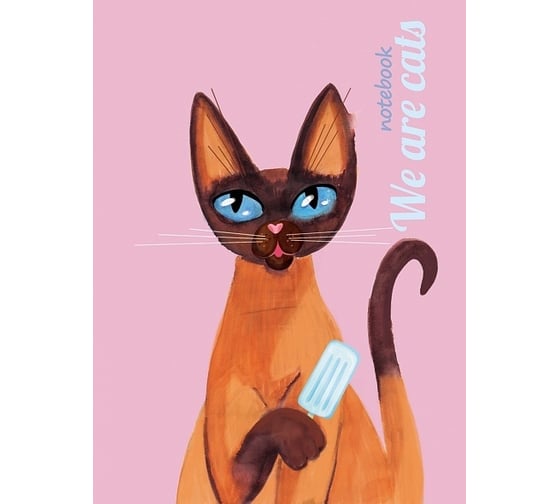 Изображение товара Бизнес-блокнот Hatber Мы-кошки 80 л, А6, 112x151 мм, клетка, твердый переплет, матовая ламинация, 3D лак, 36 шт в упаковке 070745