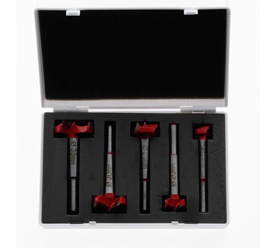 Изображение товара Набор фрез Форстнера по дереву 5 предметов (пластиковая коробка) TORGWIN T830146