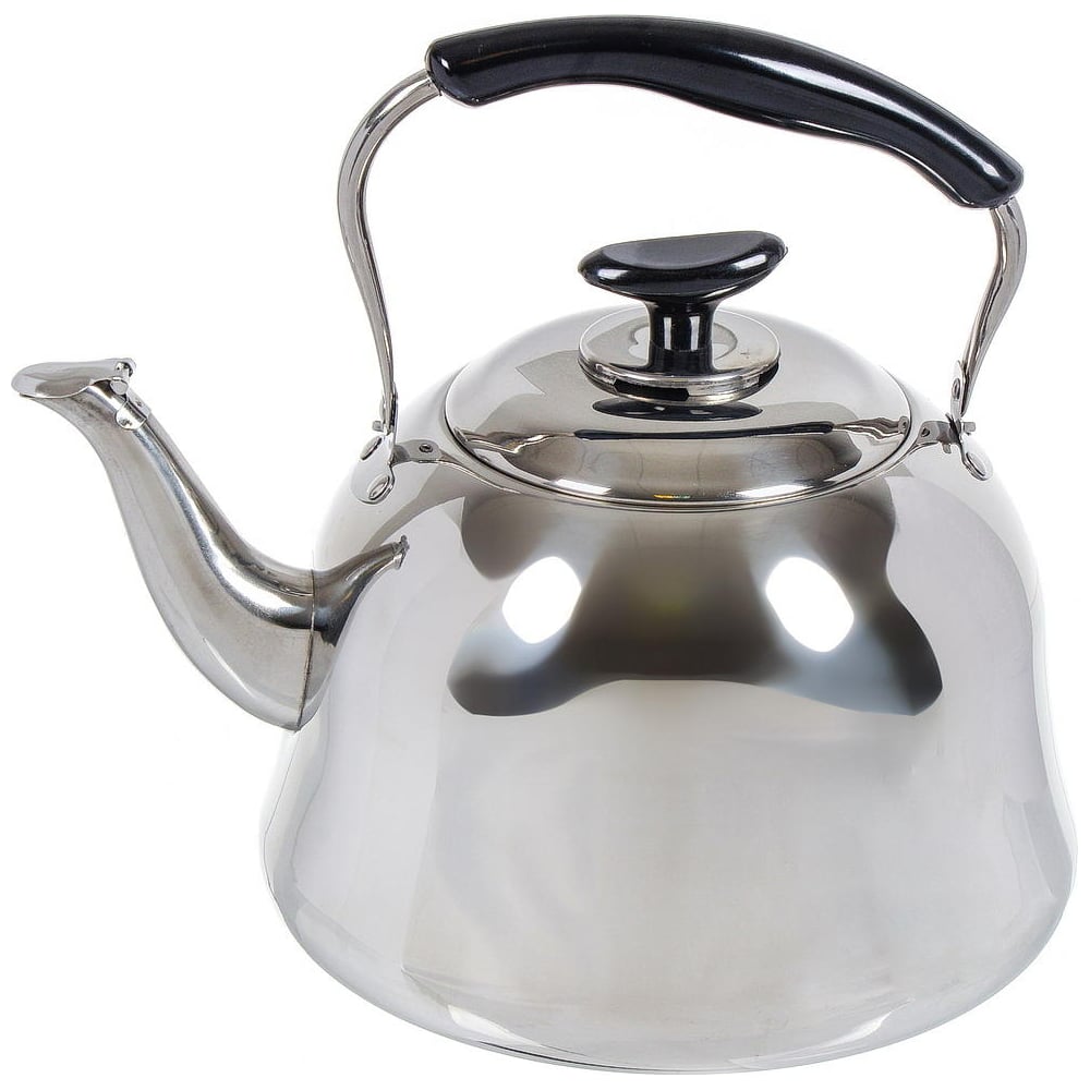 Изображение товара Чайник DANIKS нержавеющая сталь 5 л свисток капсульное дно для индукционных газовых и электрических