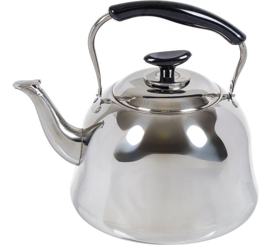 Изображение товара Чайник DANIKS нержавеющая сталь, 5 л, свисток, зеркальный, ручка металл, пластик, gs-28224 364424