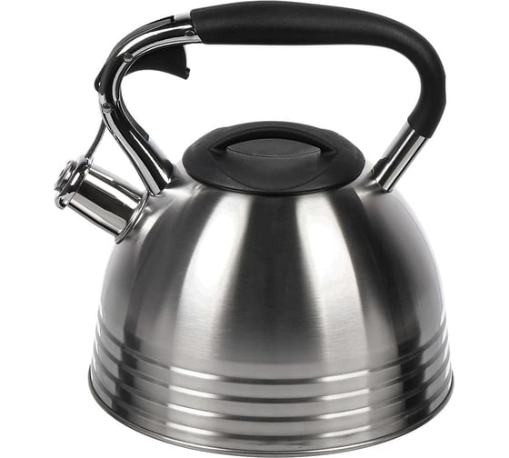 Изображение товара Чайник DANIKS нержавеющая сталь, 2.7 л, свисток, матовый, ручка с силиконовым покрытием, индукция, pr-2201 429626