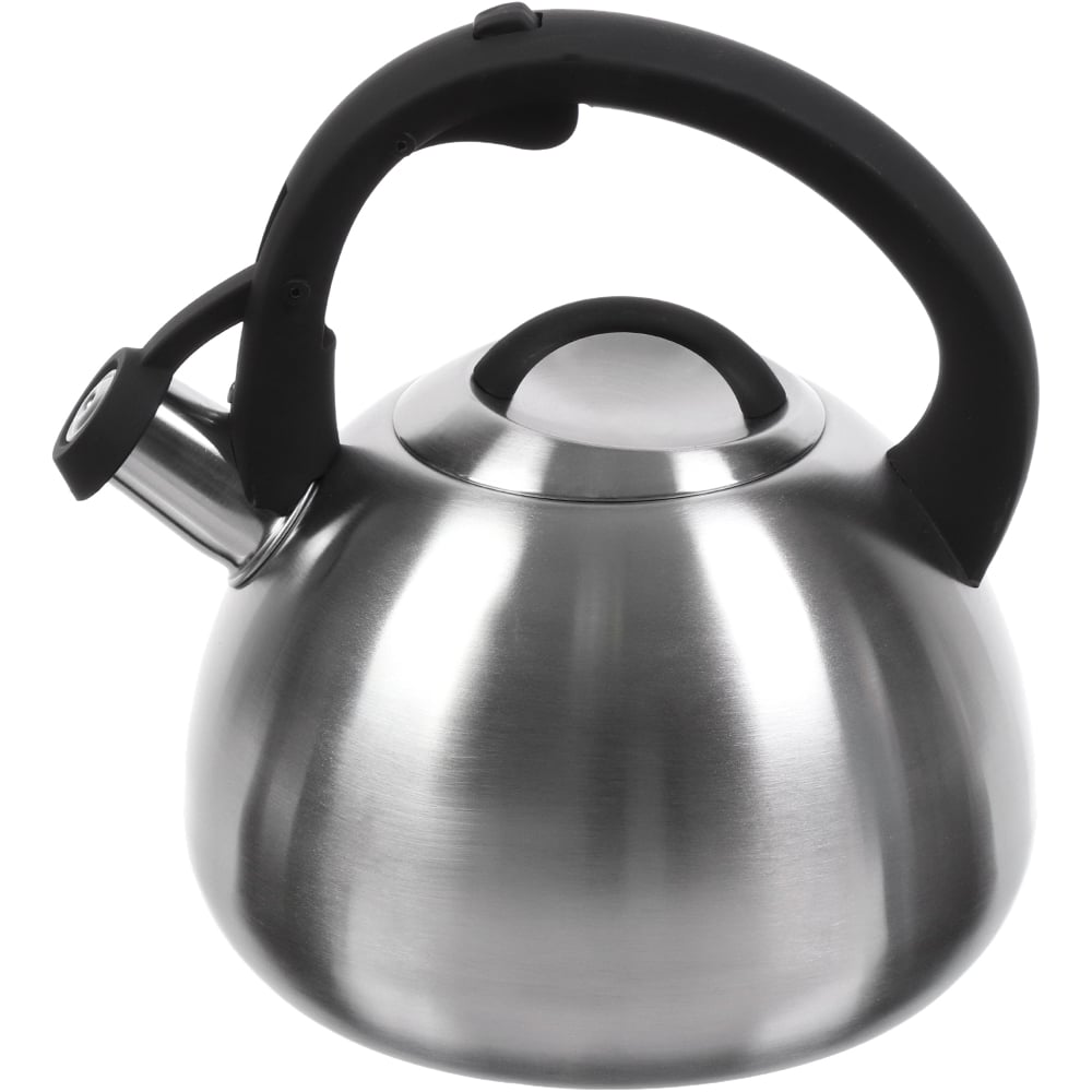 Изображение товара Чайник DANIKS нержавеющая сталь 2.7 л свисток матовый индукция