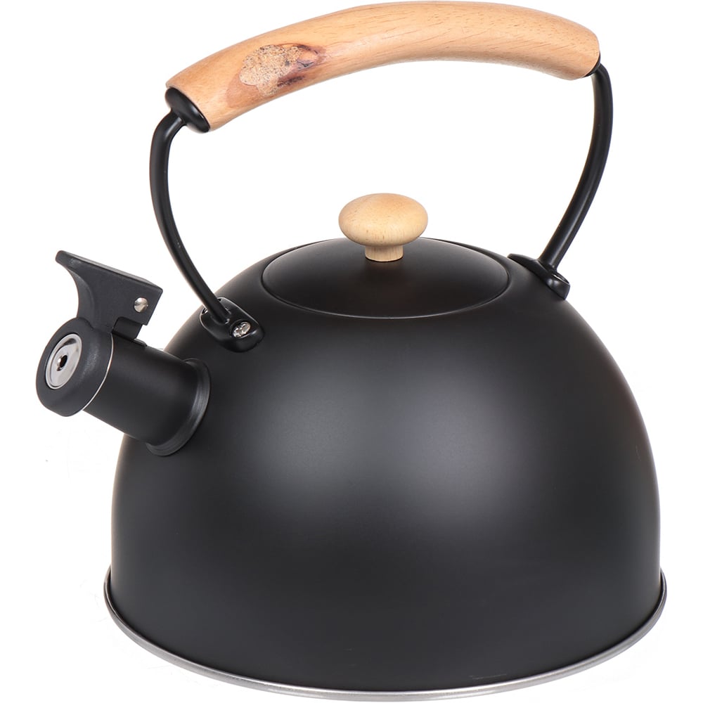 Изображение товара Чайник DANIKS из нержавеющей стали 2.5 л с свистком матовый для индукционной и газовой плиты