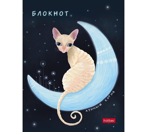 Изображение товара Бизнес-блокнот Hatber 80 л, А6, клетка, твердый переплет, лунный кот, 36 шт в упаковке 066217