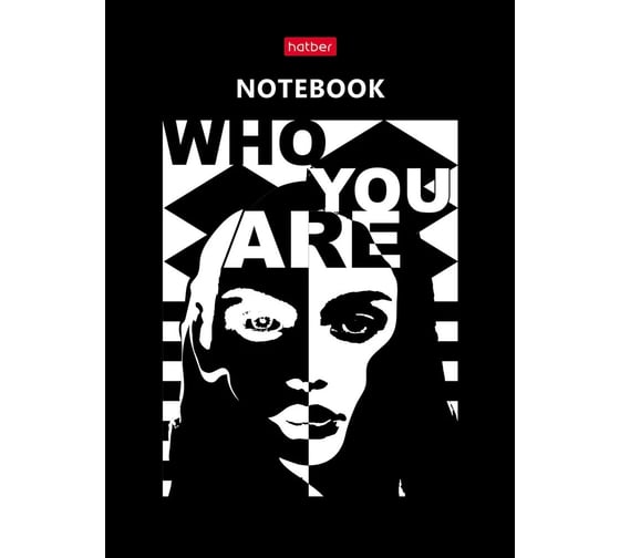 Изображение товара Бизнес-блокнот Hatber 160 л, А6, лайт клетка, интегральный переплет, кто ты, 20 шт в упаковке 075774